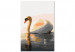 Paint by Number Kit Stately Swan 138666 additionalThumb 4