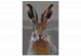 Paint by Number Kit Rabbit 142566 additionalThumb 6