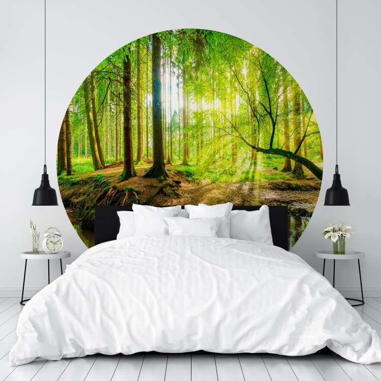 Round wallpaper Forest Pond - Colorful Water Among Green Trees and Vegetation 149166