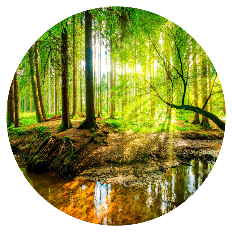 Round wallpaper Forest Pond - Colorful Water Among Green Trees and Vegetation 149166 additionalImage 1