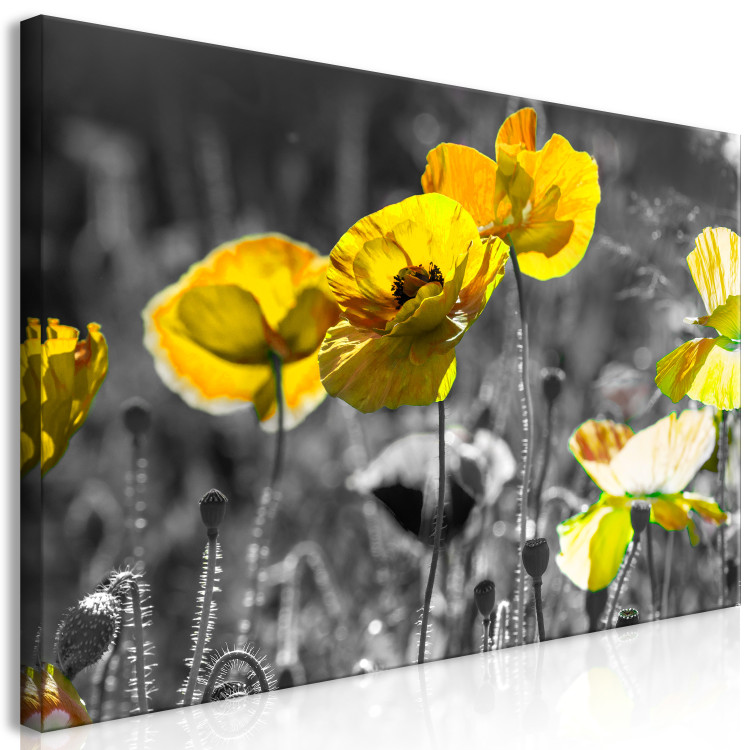 Large Canvas Yellow Poppies II [Large Format] 132376 additionalImage 2