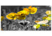Large Canvas Yellow Poppies II [Large Format] 132376