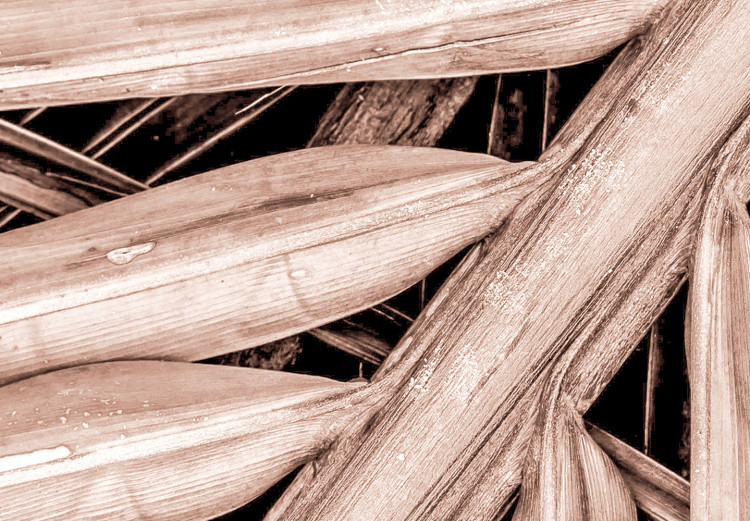 Canvas Dry palm - dried palm leaf set under a sharp angle 135276 additionalImage 4