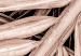 Canvas Dry palm - dried palm leaf set under a sharp angle 135276 additionalThumb 4