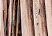 Canvas Dry palm - dried palm leaf set under a sharp angle 135276 additionalThumb 5