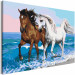 Paint by Number Kit Horses at the Seaside 134886 additionalThumb 6