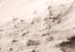 Canvas Sandy Surface - Marine landscape in Sepia 135286 additionalThumb 4