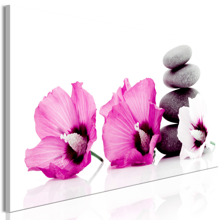 Canvas Pink flowers and stones - feng shui composition with mallow and stones 123396 additionalImage 2