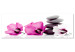 Canvas Pink flowers and stones - feng shui composition with mallow and stones 123396