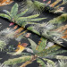 Decorative Curtain In the jungle - palm trees, tiger and monkey on dark background 147307 additionalThumb 5