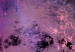 Canvas Explosion of Colors in Space (1-part) - Abstract World of Colors 118317 additionalThumb 5