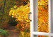 Canvas Sunny Autumn (1 Part) Wide 125017 additionalThumb 4