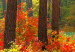 Canvas Sunny Autumn (1 Part) Wide 125017 additionalThumb 5