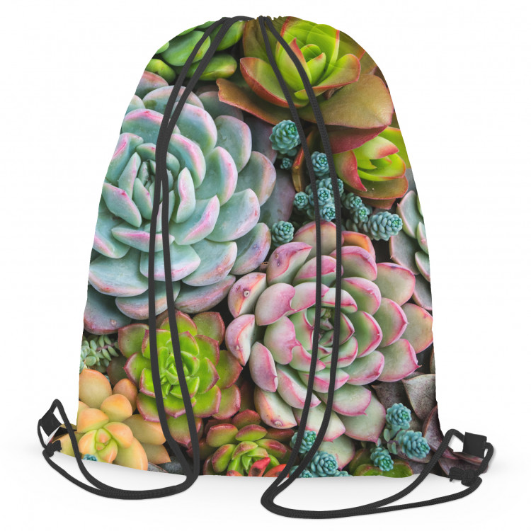 Backpack A world of the succulents - a floral composition with rich detailing 147517