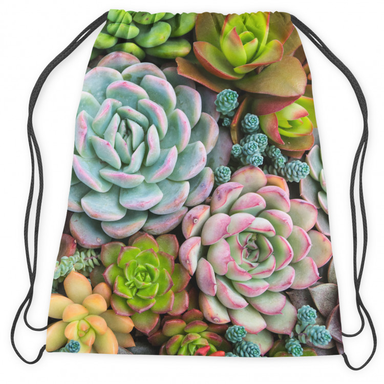 Backpack A world of the succulents - a floral composition with rich detailing 147517 additionalImage 2