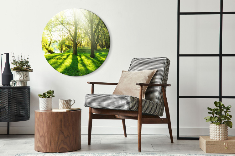 Round Canvas Sunny Forest - A Photo of Trees Illuminated by Summer Rays 148717 additionalImage 2