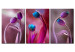 Canvas Tulips in Love 95917