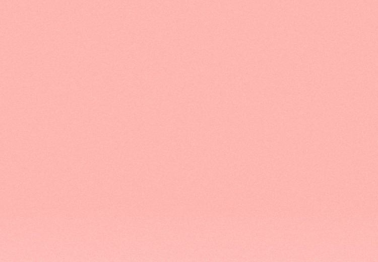 Canvas Cotton candy heaven - an abstract composition of two shades of pink 119127 additionalImage 4