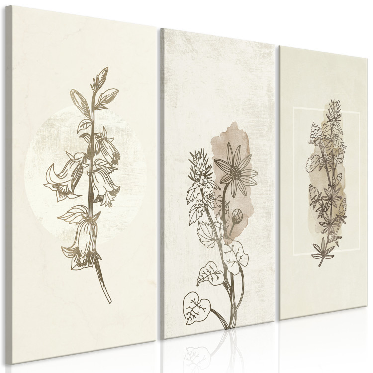 Canvas Herbarium (3 Parts) 125727 additionalImage 2