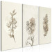 Canvas Herbarium (3 Parts) 125727 additionalThumb 2