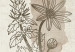 Canvas Herbarium (3 Parts) 125727 additionalThumb 5