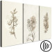 Canvas Herbarium (3 Parts) 125727 additionalThumb 6