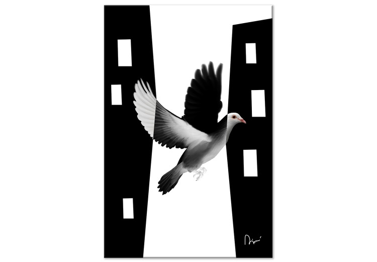 Canvas City pigeon - a bird that blends into the city in black and white 117237