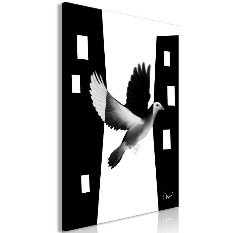 Canvas City pigeon - a bird that blends into the city in black and white 117237 additionalImage 2
