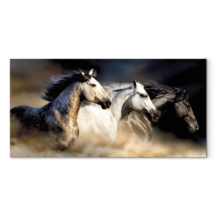 Canvas Sons of the Wind (1 Part) Wide 122237 additionalImage 7