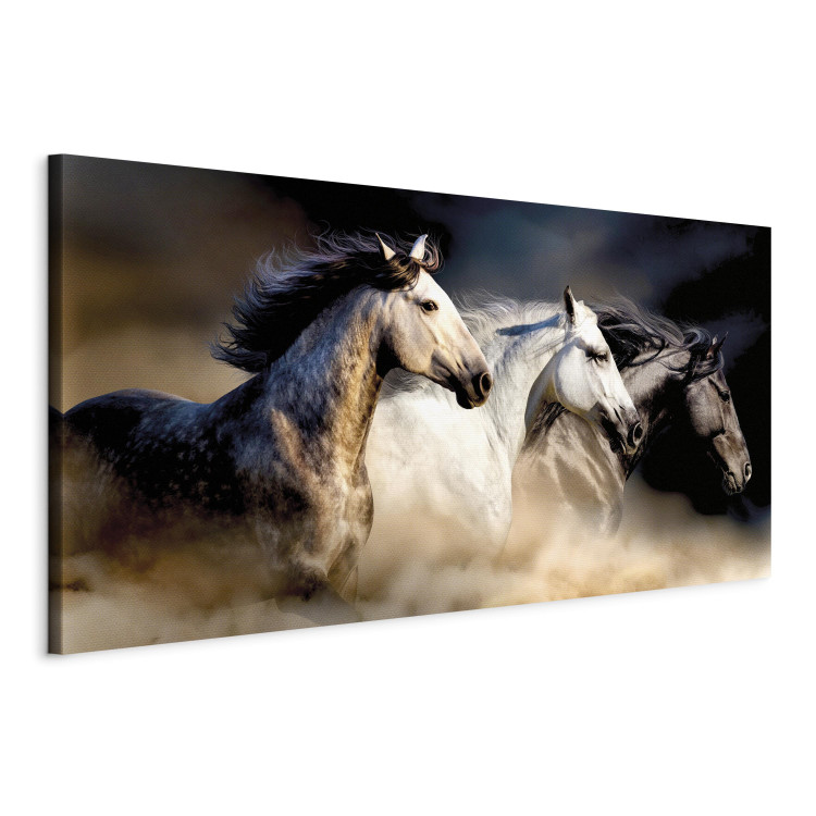 Canvas Sons of the Wind (1 Part) Wide 122237 additionalImage 2