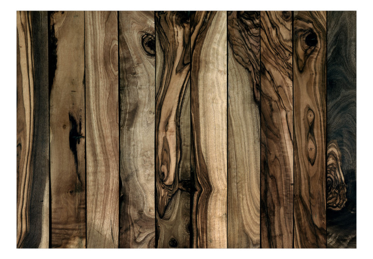 Wall Mural Olive tree - uniform background in pattern of dark wooden boards 135137 additionalImage 1