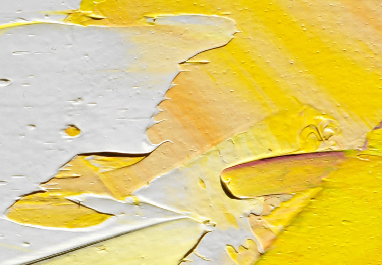 Canvas Abstract Colors - Colorful Composition Applied With a Spatula 149837 additionalImage 5