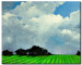 Canvas Rural idyll - green field landscape on the background of a blue sky 49737