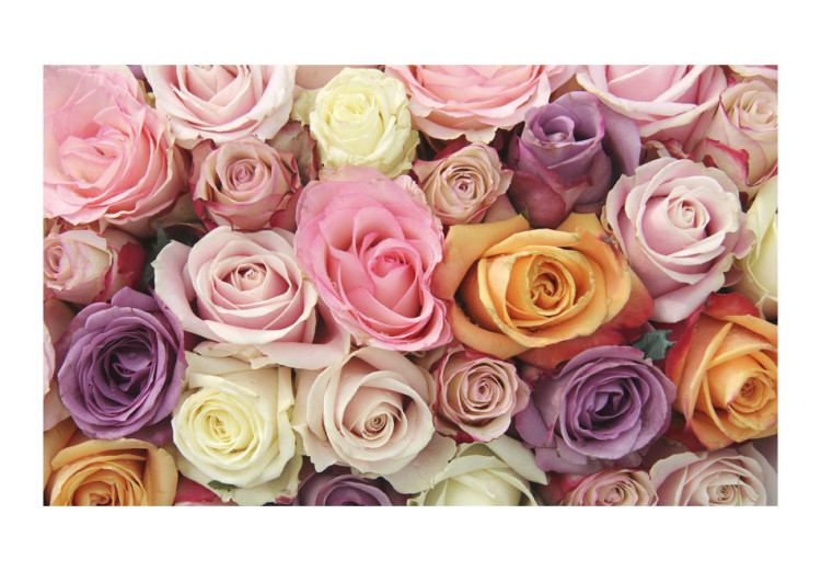 Wall Mural Pastel roses 60337 additionalImage 1