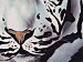 Canvas White tiger 64337 additionalThumb 3