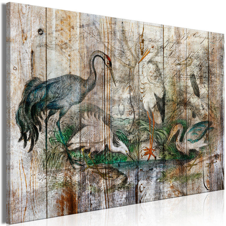 Canvas From the Chronicles of Nature - Graphics With Birds on Boards in a Vintage Style 145747 additionalImage 2
