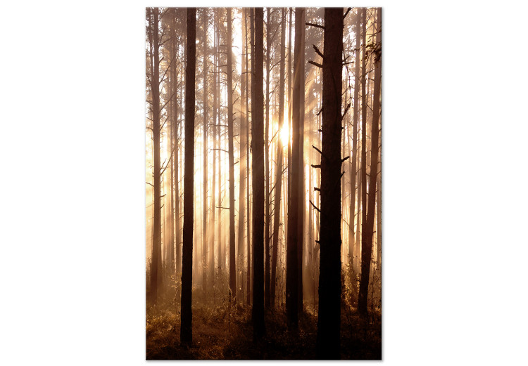Canvas Forest Paths (1 Part) Vertical 123757