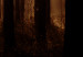 Canvas Forest Paths (1 Part) Vertical 123757 additionalThumb 5
