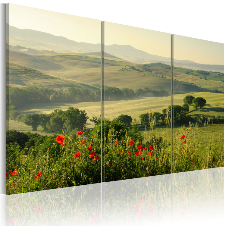 Canvas Poppies on Tuscany fields 58657 additionalImage 2