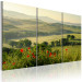 Canvas Poppies on Tuscany fields 58657 additionalThumb 2