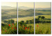 Canvas Poppies on Tuscany fields 58657