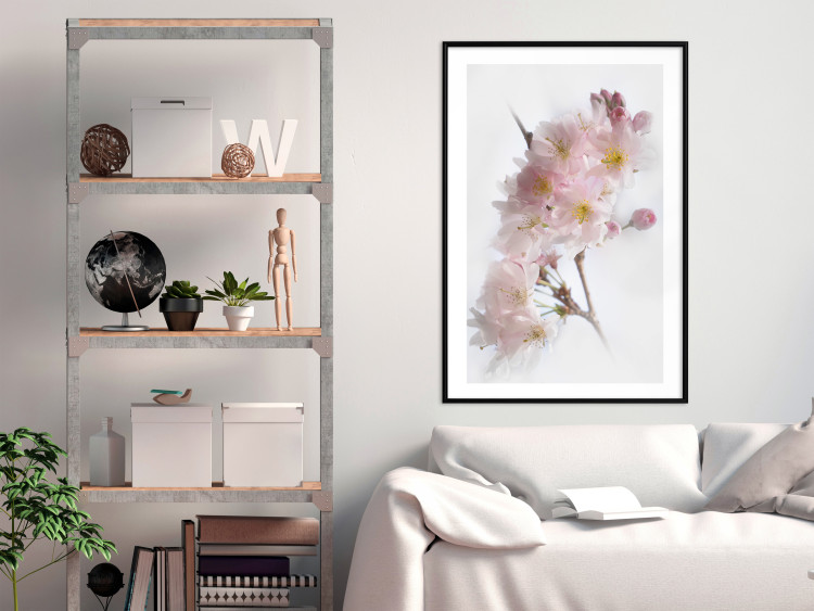 Poster Spring in Japan - branch with pink flowers on a bright white background 125867 additionalImage 4