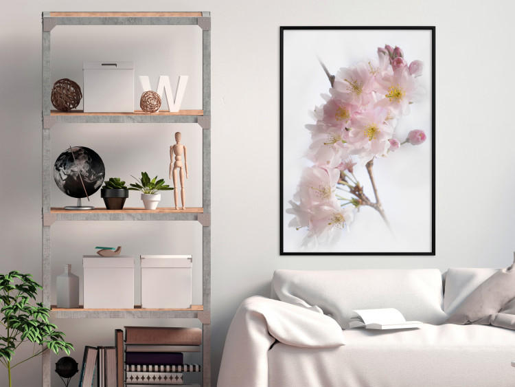 Poster Spring in Japan - branch with pink flowers on a bright white background 125867 additionalImage 3