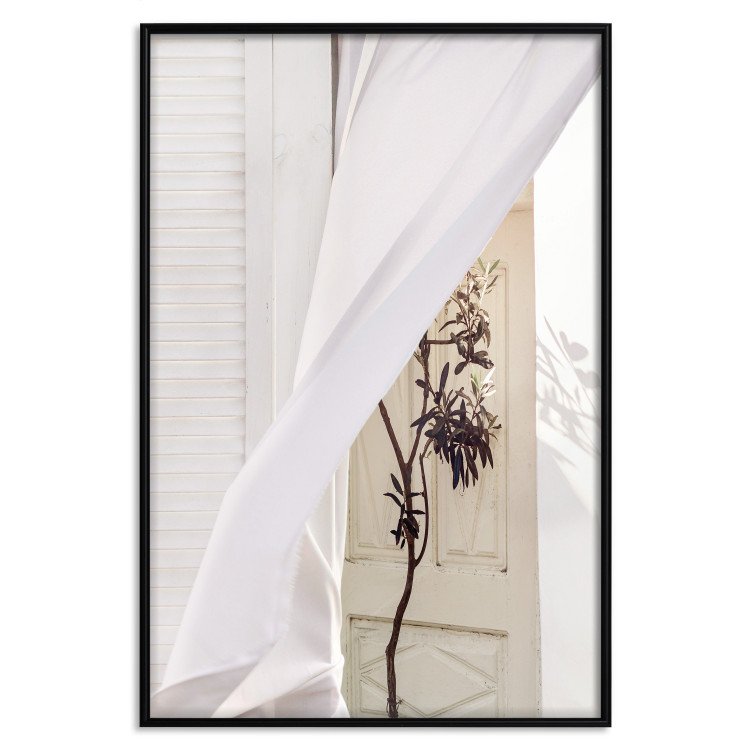 Poster Mystery of the Wind - composition with plant against white architecture 129467 additionalImage 16