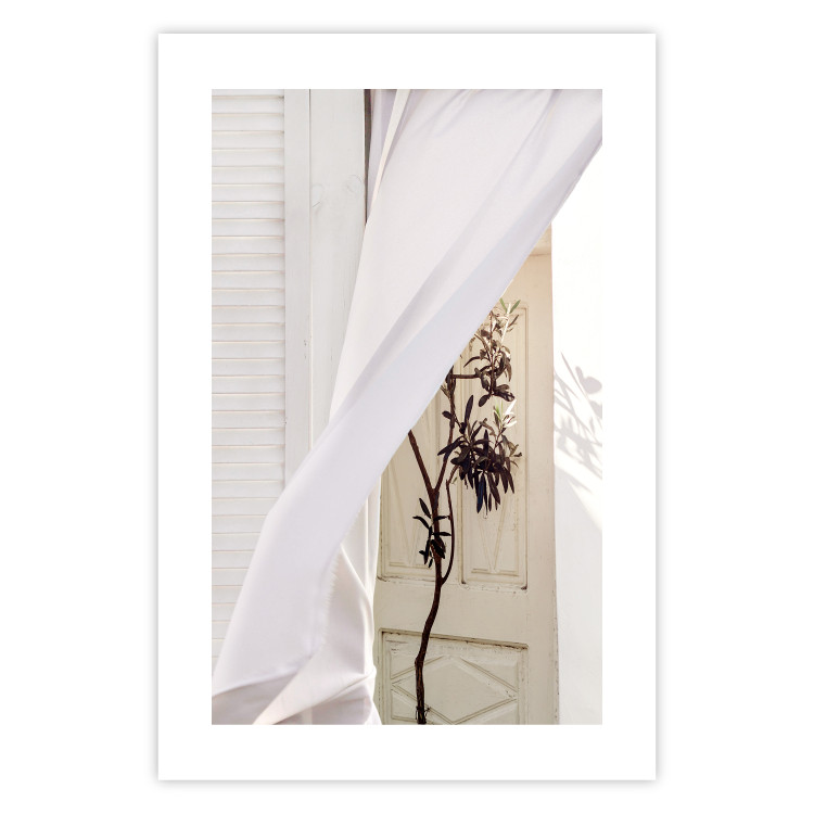 Poster Mystery of the Wind - composition with plant against white architecture 129467 additionalImage 19