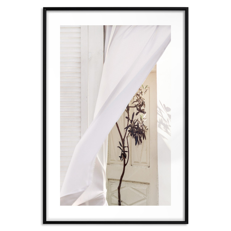 Poster Mystery of the Wind - composition with plant against white architecture 129467 additionalImage 15