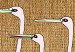 Poster Asian Cranes [Poster] 142467 additionalThumb 5