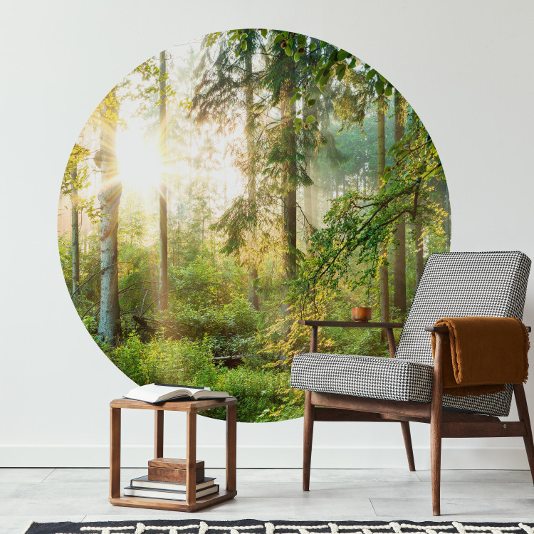 Round wallpaper Lush Forest - Tall Trees in the Rays of the Rising Sun 149167 additionalImage 2