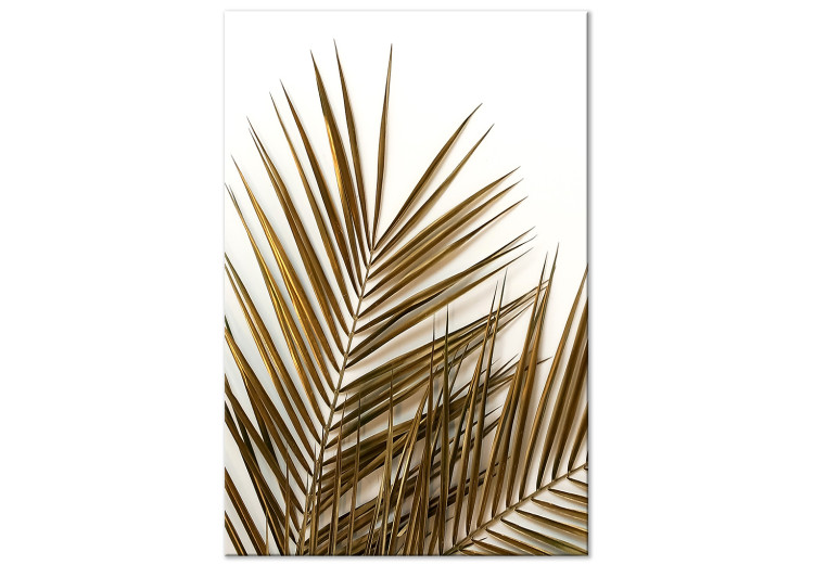 Canvas Dry palm leaves - photograph with plant motif on a white background 127987