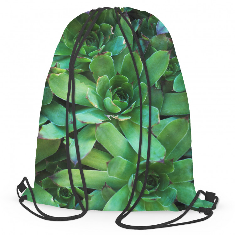 Backpack Flower bed stars - a plant composition with rich detailing 147387